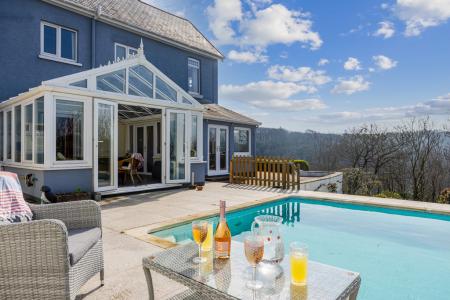 A32 - Haldonhay Newt