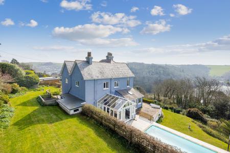 A34 - Haldonhay Newt