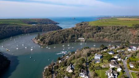 A20 - Haldonhay Newt