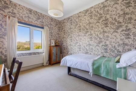 A57 - Haldonhay Newt