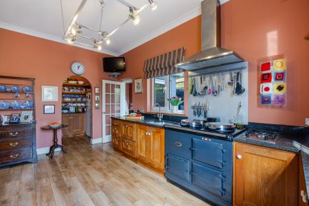 A42 - Haldonhay Newt