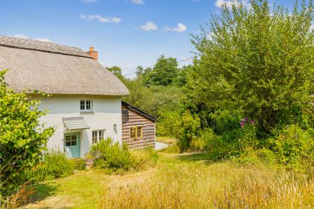 The Cottage and Gard