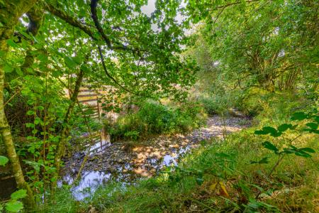 Stream