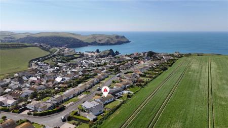 Ariel View