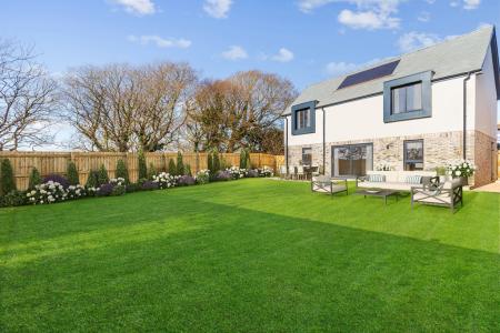 A04 - 5 Blackthorn W