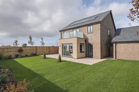 Collaton Park by Pet