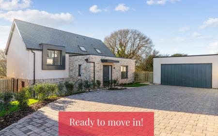 GP ready to move (4)