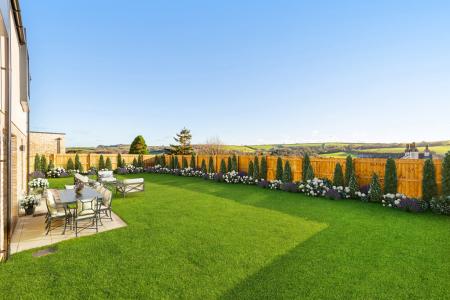 A02 - 5 Blackthorn W