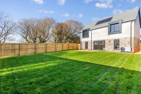 View from Green Park