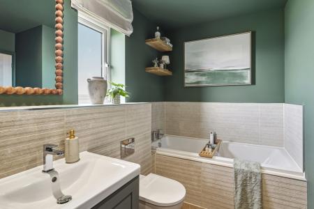 Collaton Park by Pet