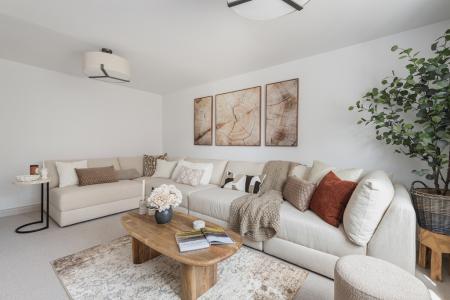 Coln Signature Home