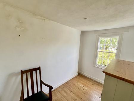 IMG 0599