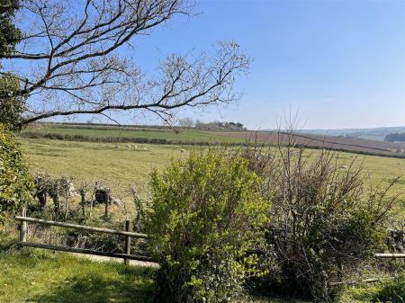 view from front 3.jpg