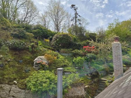 View from bedroom of garden.