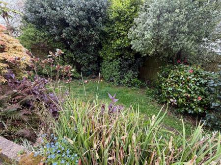 Garden 2.jpg