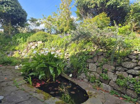 Rear courtyard and pond