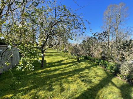 garden 2.jpg