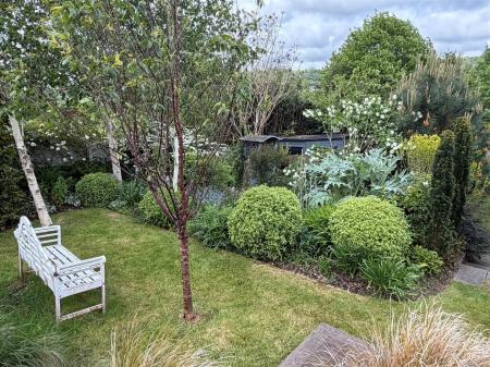 garden 5.jpg