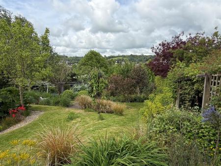 garden 7.jpg