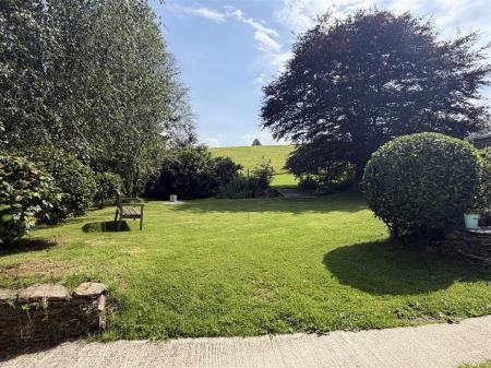 garden.jpeg