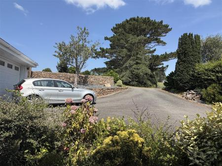 driveway.jpeg
