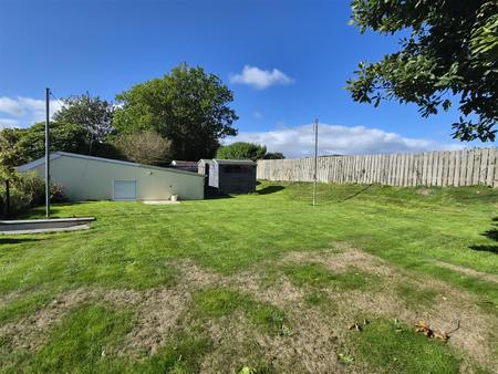 rear garden 2.jpg