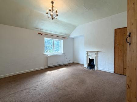 Media image 07