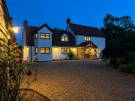 Media image 29