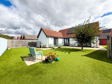 Media image 15