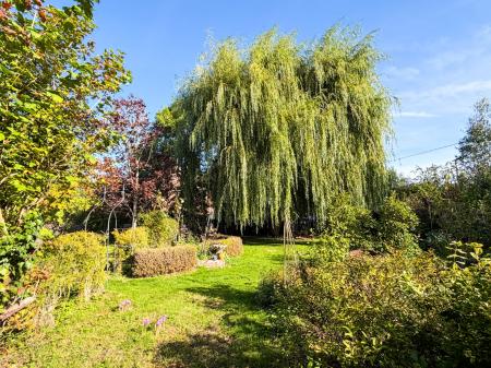 Media image 27