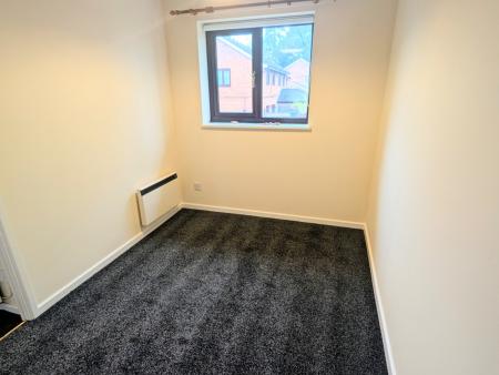 PXL_20250128_1000506552