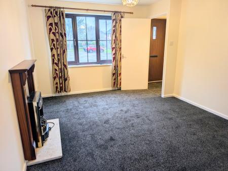 PXL_20250128_0953555482