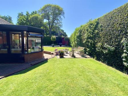 garden 4
