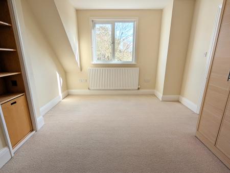 PXL_20250303_1258016832