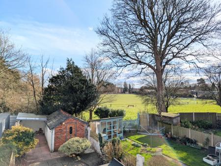 PXL_20250303_1316532102