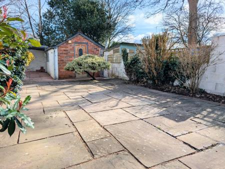 PXL_20250303_1308151612