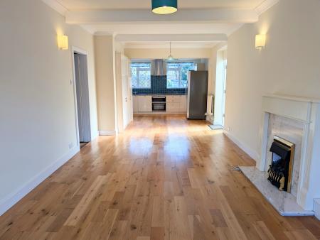 PXL_20250303_1306419482