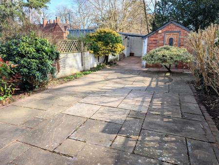 PXL_20250303_1307562122