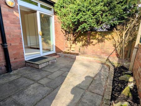 PXL_20250303_1303267332