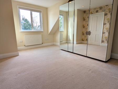 PXL_20250303_1254109632