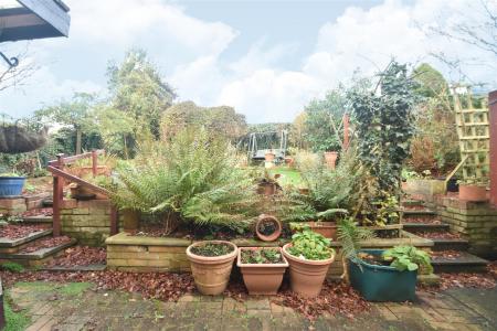 garden 3.jpg