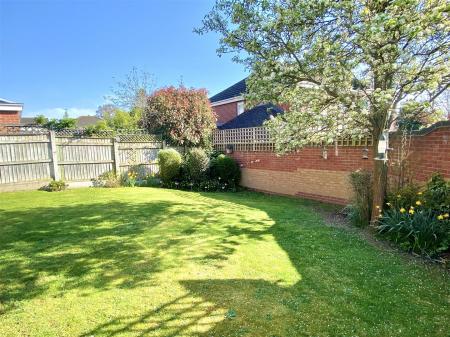 Photo 02-04-2025, 16 23 15.jpg