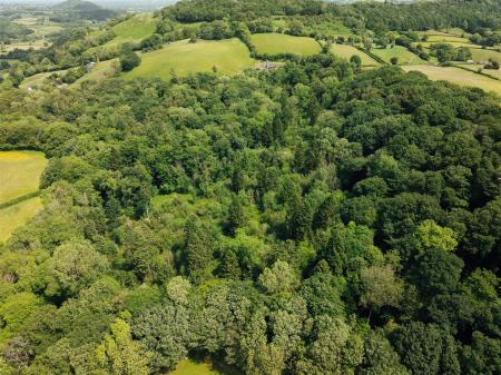 Ludiart Wood-006.jpg