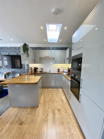 The Bluebells-23.jpg