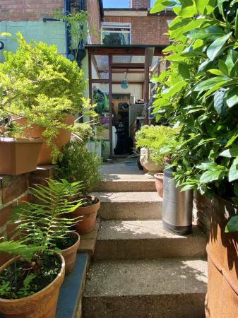 13 Albert Street-3.jpg