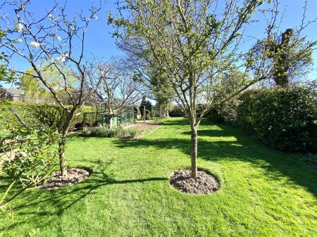 Photo 01-04-2025, 15 32 37.jpg