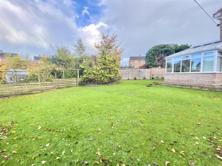 Photo 31-10-2025, 15 08 48.jpg