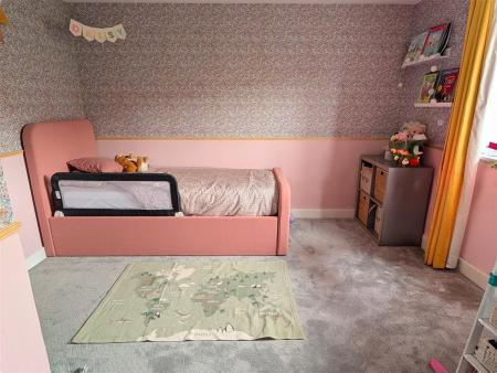 PXL_20260217_1052551593 (1).jpg