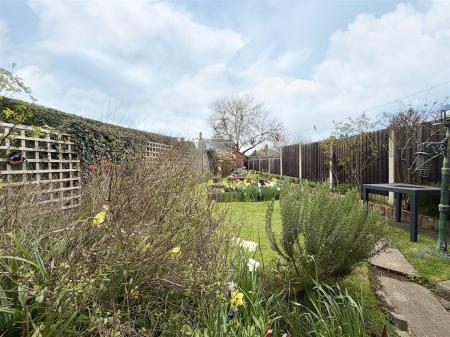 garden 1.jpg