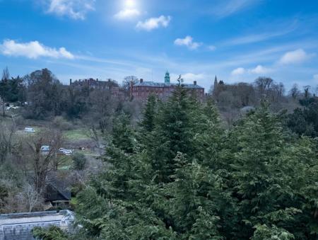 10 Kingsland Bridge Mansions - view.jpg